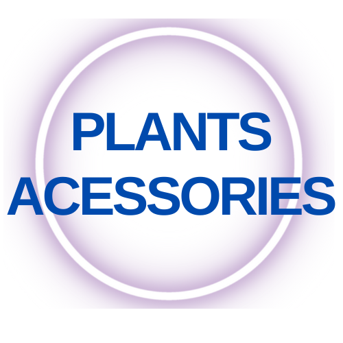 Plants Acessories